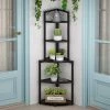 Taylor 60 in. Black Wood and Metal Frame 5-Shelf Radial Corner Shelf Bookcase Storage Rack Plant Stand 5-Tiers by TRIBESIGNS WAY TO ORIGIN