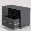 Catherine Black File Cabinet with Lock and Drawer by TRIBESIGNS WAY TO ORIGIN -Deals Glitzhome Store black tribesigns way to origin file cabinets hd c0299 64 1000