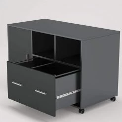 Catherine Black File Cabinet with Lock and Drawer by TRIBESIGNS WAY TO ORIGIN