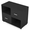 Cindy Black Modern File Cabinet with 2 Drawers by TRIBESIGNS WAY TO ORIGIN