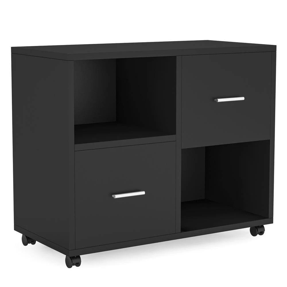 Cindy Black Modern File Cabinet with 2 Drawers by TRIBESIGNS WAY TO ORIGIN 4 Cindy Black Modern File Cabinet with 2 Drawers by TRIBESIGNS WAY TO ORIGIN - Image 2