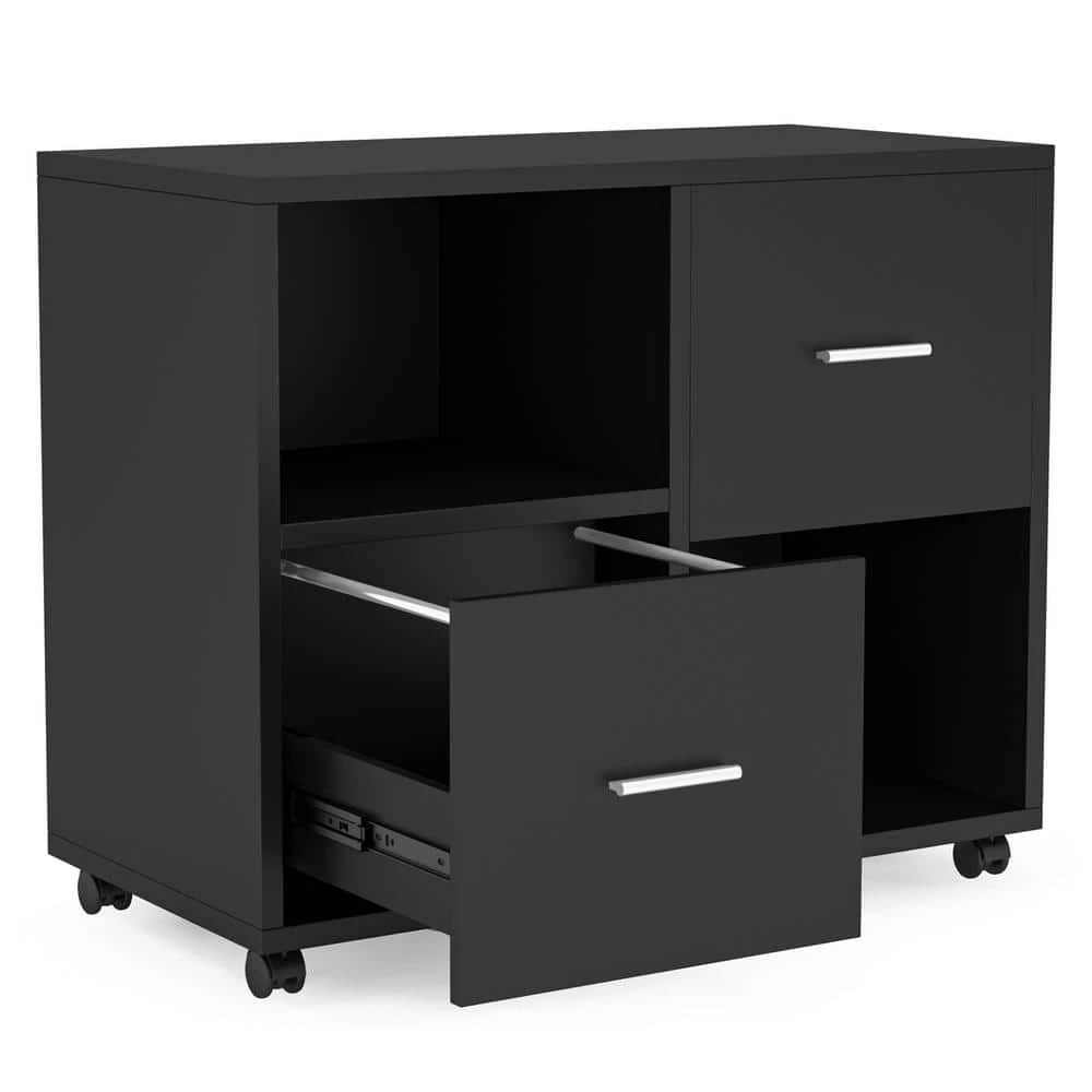 Cindy Black Modern File Cabinet with 2 Drawers by TRIBESIGNS WAY TO ORIGIN 8 Cindy Black Modern File Cabinet with 2 Drawers by TRIBESIGNS WAY TO ORIGIN - Image 6