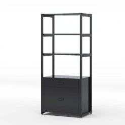 Calida Black File Cabinet with 4-Storage Shelves and 2-Drawers by TRIBESIGNS WAY TO ORIGIN