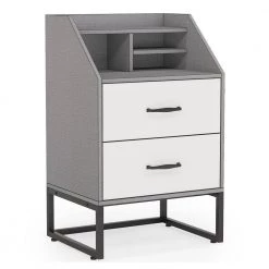 Mayville 2 Drawers Nightstands Modern Black and Gray Wood Bedroom Bedside Table, 19.68" W * 15.74" D * 31.49" H by TRIBESIGNS WAY TO ORIGIN